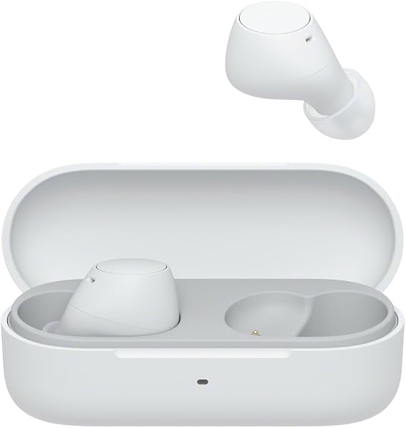 Sony WF-C510 Truly Wireless Earbuds
