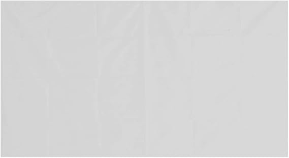 Pantalla de Proyección, Pantalla de Proyección Trasera Cortina de Proyector de 60-120 Pulgadas Portátil Blanco Plegable de la Pantalla de Cortina Proyector de Cine al Aire Libre 16: 9(100inch)