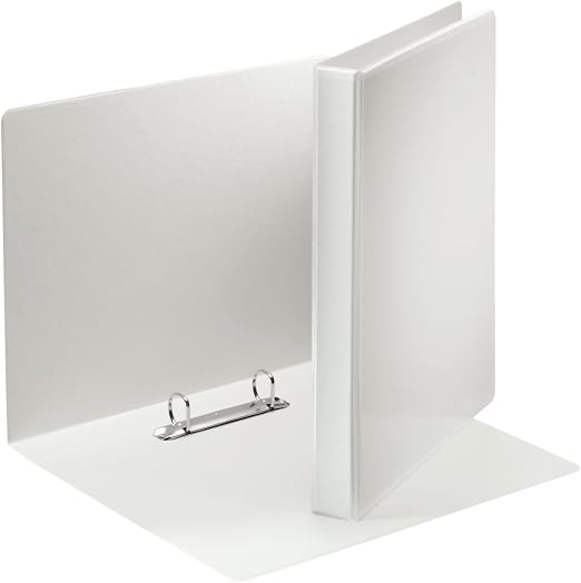 Esselte Leitz 49739 - Archivador de anillas