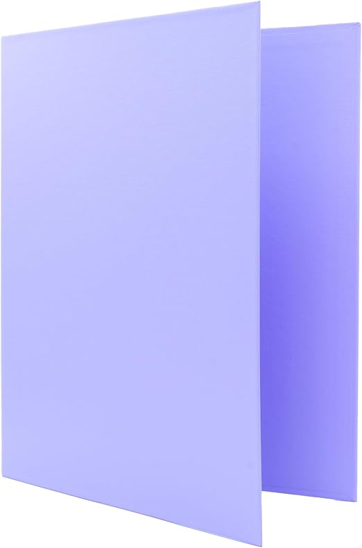 Raylu Paper® - Archivador 4 anillas en D de 25 mm, archivador A4 con anillas para guardar documentos, A4 de tamaño 33,5 cm de alto x 26 cm de ancho y lomo de 4 cm de grosor (Violeta Pastel)