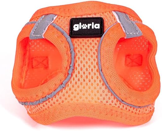 Gloria Trek Star Hundegeschirr 24-26 cm 28-28,6 cm Orange XXS