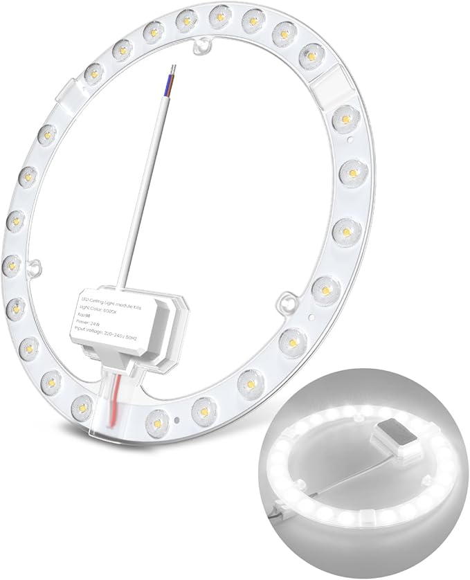 DoRight 24W Módulo de Anillo LED, con Soporte Magnético Blanco Frío 6000K, Juego de Conversión para Lámparas de Techo y Lámparas de Pared, Repuesto de Lámpara Fluorescente Circular