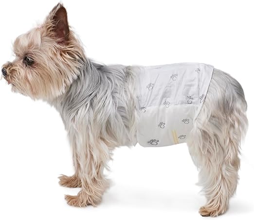 Amazon Basics Pañales desechables para perros macho, XS, paquete de 30, color blanco