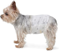 Amazon Basics Pañales desechables para perros macho, XS, paquete de 30, color blanco