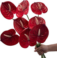 Corkwaw 8 flores artificiales de anturio de 23-5/8 pulgadas, flores falsas de tacto real para arreglos de centros de mesa y decoración de festivales de boda nupcial, color rojo