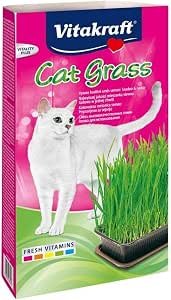 Vitakraft Cat Grass, Mezcla de Semillas de Hierba para Gatos, con vitaminas y minerales (1x 120g)