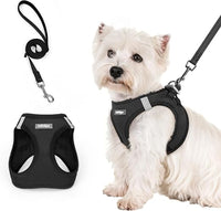 rabbitgoo Arnes Perro Pequeño con Correa de 156cm, Negro, S