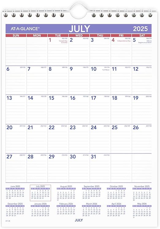 AT-A-GLANCE Wandkalender 2025–2026, akademisch, monatlich, 20,3 x 27,9 cm, kleine, linierte Tagesblöcke (AY128)