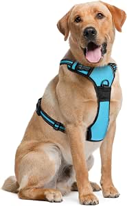 Dog Harness (Medium, azul) para Running, Hiking & Training, Soft-Padded & Adjustable No-Pull Design Pet Harness W/ 2 Leash Clips & Reflective Strips para Safety, by EcoEarth