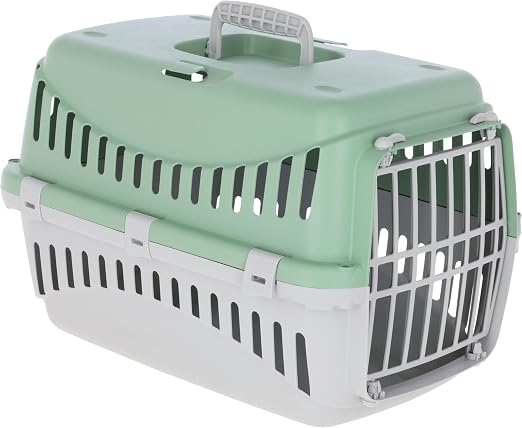Kerbl Pet Caja de Transporte Expedion, Menta/Gris Claro, 45x30x30 cm, transportín para Perros, transportín para Gatos, plástico, Perros pequeños