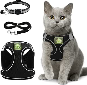Chaleco de Gato con Correa, Arnes para Gatos Ajustable con Reflectantes, Arnés Entrenamiento para Animales, Chaleco Suave y Transpirable Correa, para Mascotas Pequeñas y Medianas Caminar Entrenar M