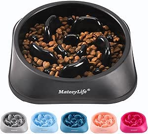 Mateeylife Comedero para Perros, Comedero Perro Antivoracidad para Cani Mediani e Grandi, Slow Feeder Anti Ingozzamento, Mediano 1 Unidad
