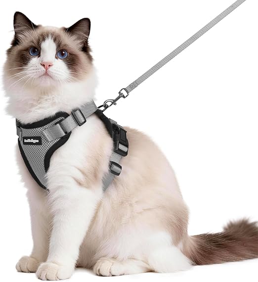rabbitgoo Arnes para Gatos Antiescape con Correa 150cm, Arnes Gato Ajustable Reflectante, Chaleco de Tela de Malla Suave y Transpirable, Arnés Gato Grande para Caminar Entrenar, M, Gris