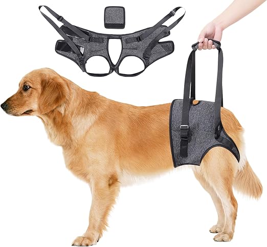 Arnés portátil para perros para patas traseras, arnés ajustable para perros mayores, discapacitados y aquellos con problemas de movilidad, gris (L)