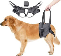 Asistencia de transporte, Arnés de Soporte Ajustable para las Patas Traseras - Cinturón de Apoyo y Rehabilitación para Perros Mayores y Lesionados, Gris (S)