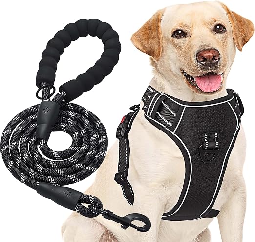 haapaw Arnés para Perro sin Tirar, Ajustable, Reflectante Oxford, fácil de controlar, Mediano y Grande, con una Correa para Perro Resistente