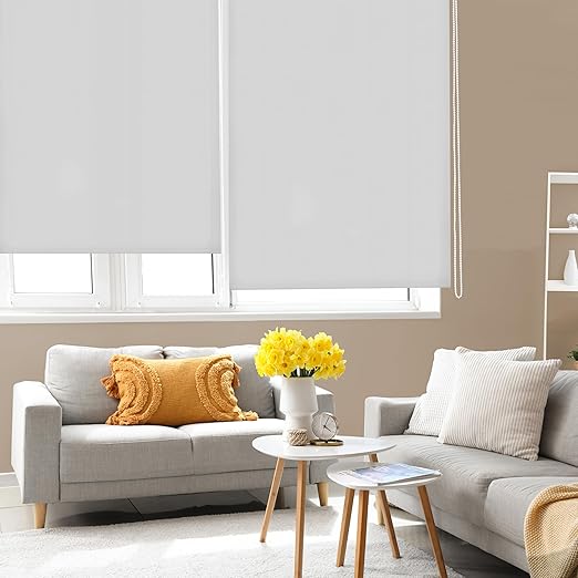 Blindecor Ara | Estor enrollable translúcido liso - Gris plata, 120 x 250 cm (ancho por alto) | Tamaño de la Tela 117 x 245 cm | Estores para ventanas
