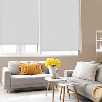 Blindecor Ara | Estor enrollable translúcido liso - Gris plata, 120 x 250 cm (ancho por alto) | Tamaño de la Tela 117 x 245 cm | Estores para ventanas