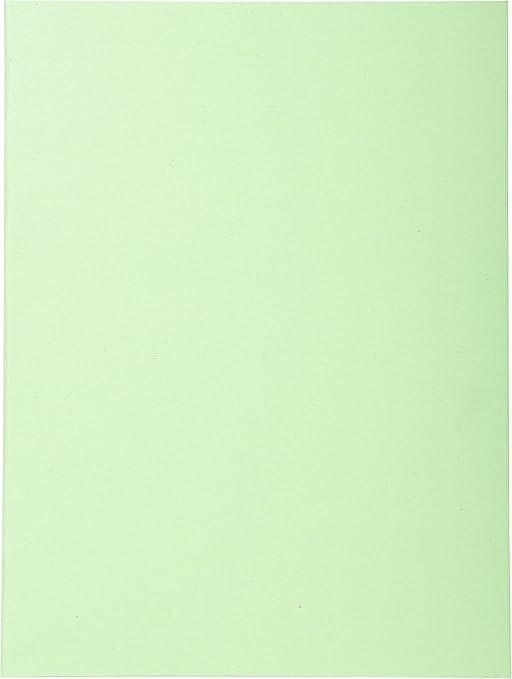 Exacompta 420013E - Lote de 100 Subcarpetas Forever® 180, Color Verde