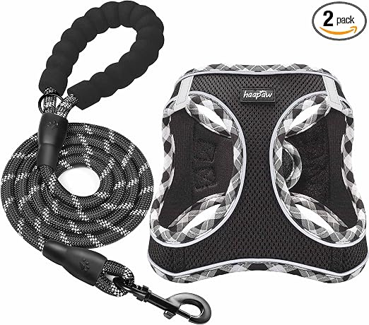 haapaw Juego de arnés y Correa para Perro, sin Tirar, Ajustable y Reflectante para Cachorros, Chaleco Acolchado para Perros Extra pequeños/pequeños medianos Negro XS