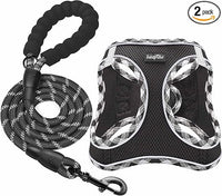 haapaw Juego de arnés y Correa para Perro, sin Tirar, Ajustable y Reflectante para Cachorros, Chaleco Acolchado para Perros Extra pequeños/pequeños medianos Negro XS