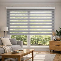 Blindecor Vela estor enrollable noche y día premium con galería | Gris plata, estor de 100 x 180 cm (ancho x alto) | Tamaño de la tela 97 x 175 cm | Estor noche y día elegante