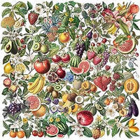 BSITSSS 100 Piezas Pegatinas Scrapbooking, Scrapbook Pegatinas Transparentes Aesthetic, Stickers Frutas Vintage para Scrapbooking Álbum Fotos Journal Diario