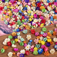 Ruzister 280 Flores secas pequeñas para Manualidades – Mini Flores secas para Resina, pequeñas Flores prensadas secas Naturales a Granel para Bricolaje