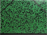 EXACOMPTA Carton à dessin Annonay avec élastiques 26x33cm A4 maxi vert