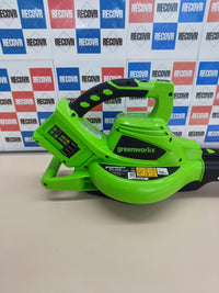 Aspirador Soplador Hojas Greenworks GD24X2BV