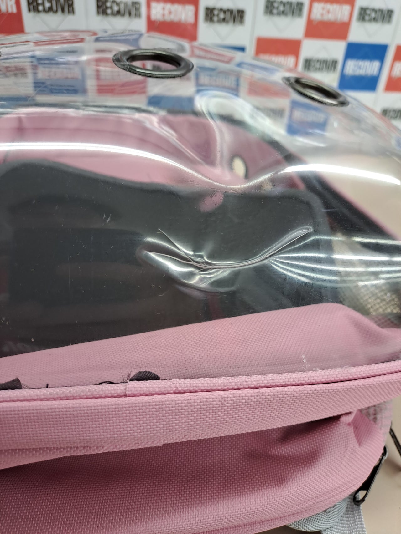 Mochila transportín gatos transparente ventilada – Petcute