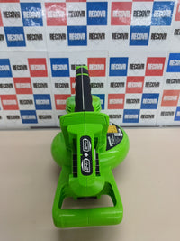 Aspirador y soplador 2en1 24V sin batería – Greenworks