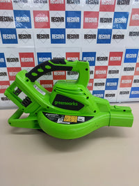 Aspirador y soplador 2en1 24V sin batería – Greenworks