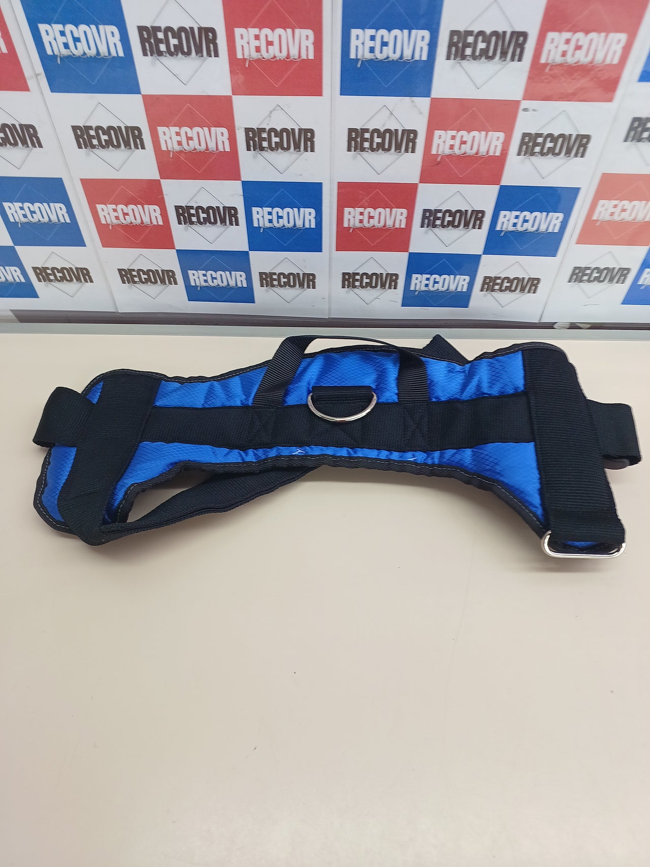 Arnés perro ajustable azul nailon talla L – Hearts & Homies