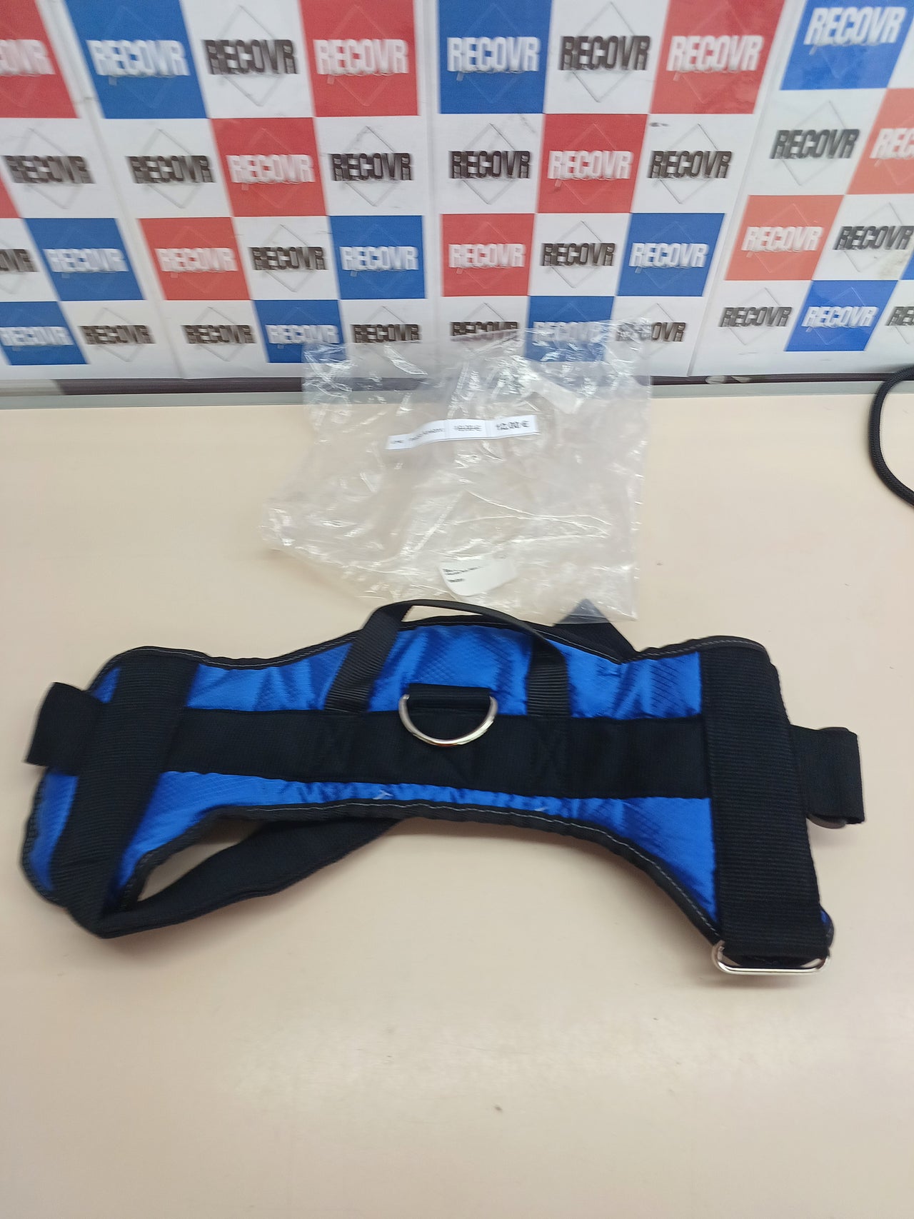 Arnés perro ajustable azul nailon talla L – Hearts & Homies